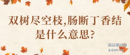 ����˫������֦,���϶������ʲô��˼?