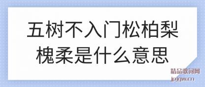 ���������������ɰ��滱����ʲô��˼