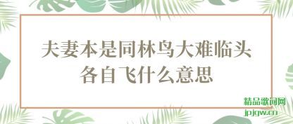 ��˵���ޱ���ͬ���������ͷ���Է�ʲô��˼