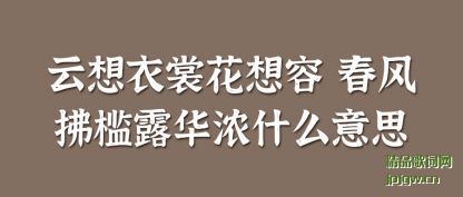 �����������ѻ����� �������¶��Ũʲô��˼