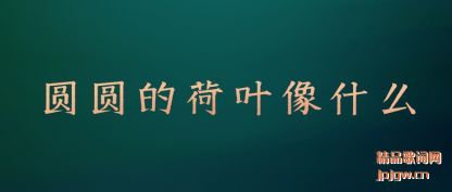 ̸��ԲԲ�ĺ�Ҷ��ʲô