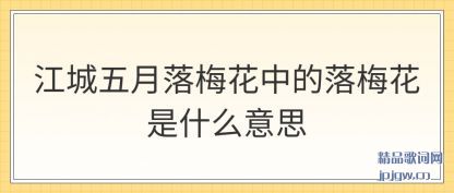 江城五月落梅花中的落梅花是什么意思