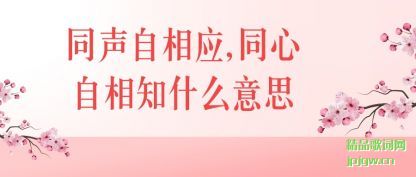 ��ʶͬ������Ӧ,ͬ������֪ʲô��˼