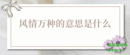 �����������ֵ���˼��ʲô