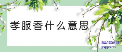 ����Т����ʲô��˼