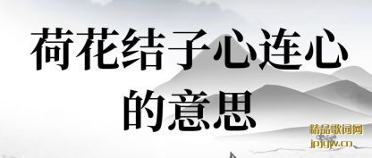 ���ɻ����������ĵ���˼