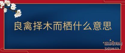 ��˵������ľ����ʲô��˼