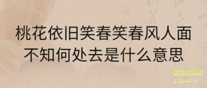 ǳ���һ�����Ц��Ц�������治֪�δ�ȥ��ʲô��˼