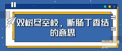 ����˫������֦,�ϳ���������˼