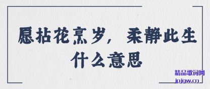 Ը黨,ᾲʲô˼