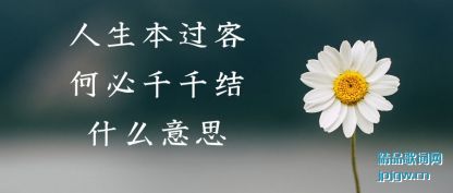 ͺαǧǧʲô˼